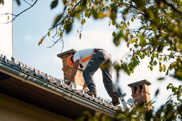 Best Roof Maintenance Services  in West Jordan, UT
